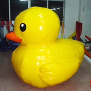 inflatable ducks
